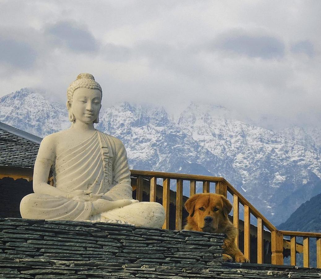 Osho Himalayas Wellness Resort คางกรา ภายนอก รูปภาพ